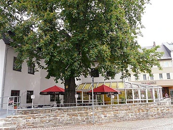 Biergarten vom Cafe Flamenco